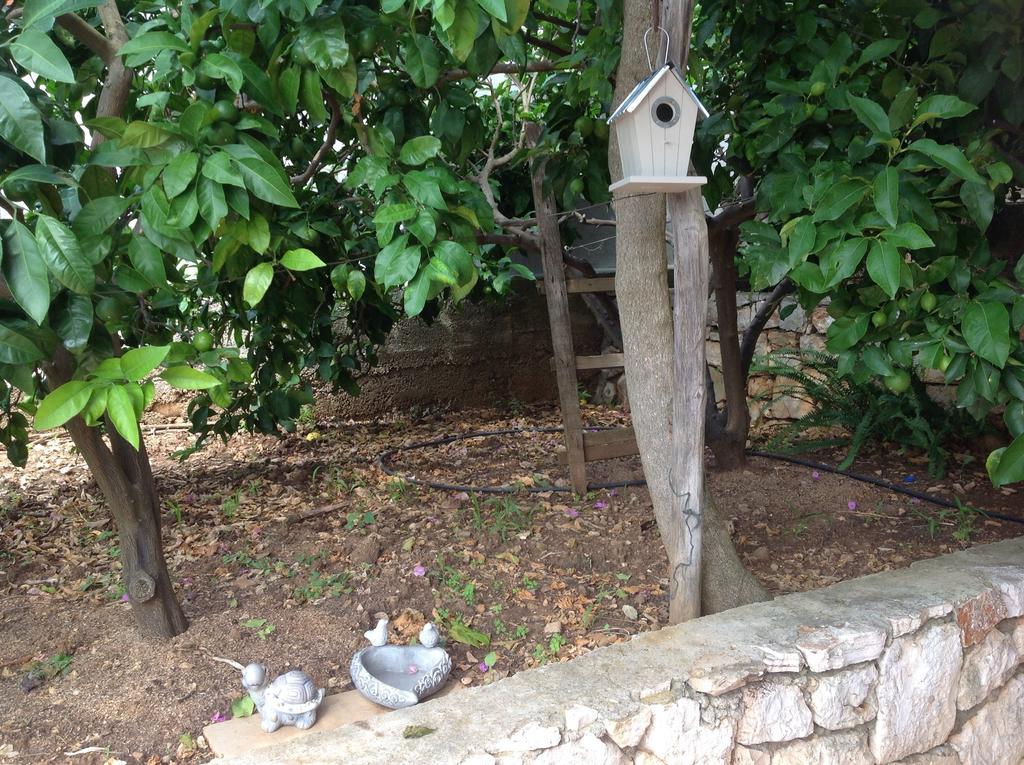 Apartamento Roic